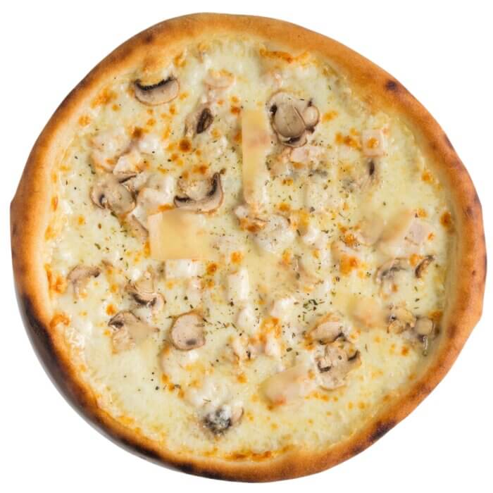 Pollo